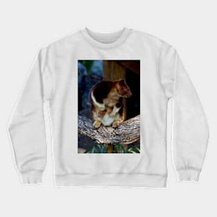 Roo Baby Crewneck Sweatshirt